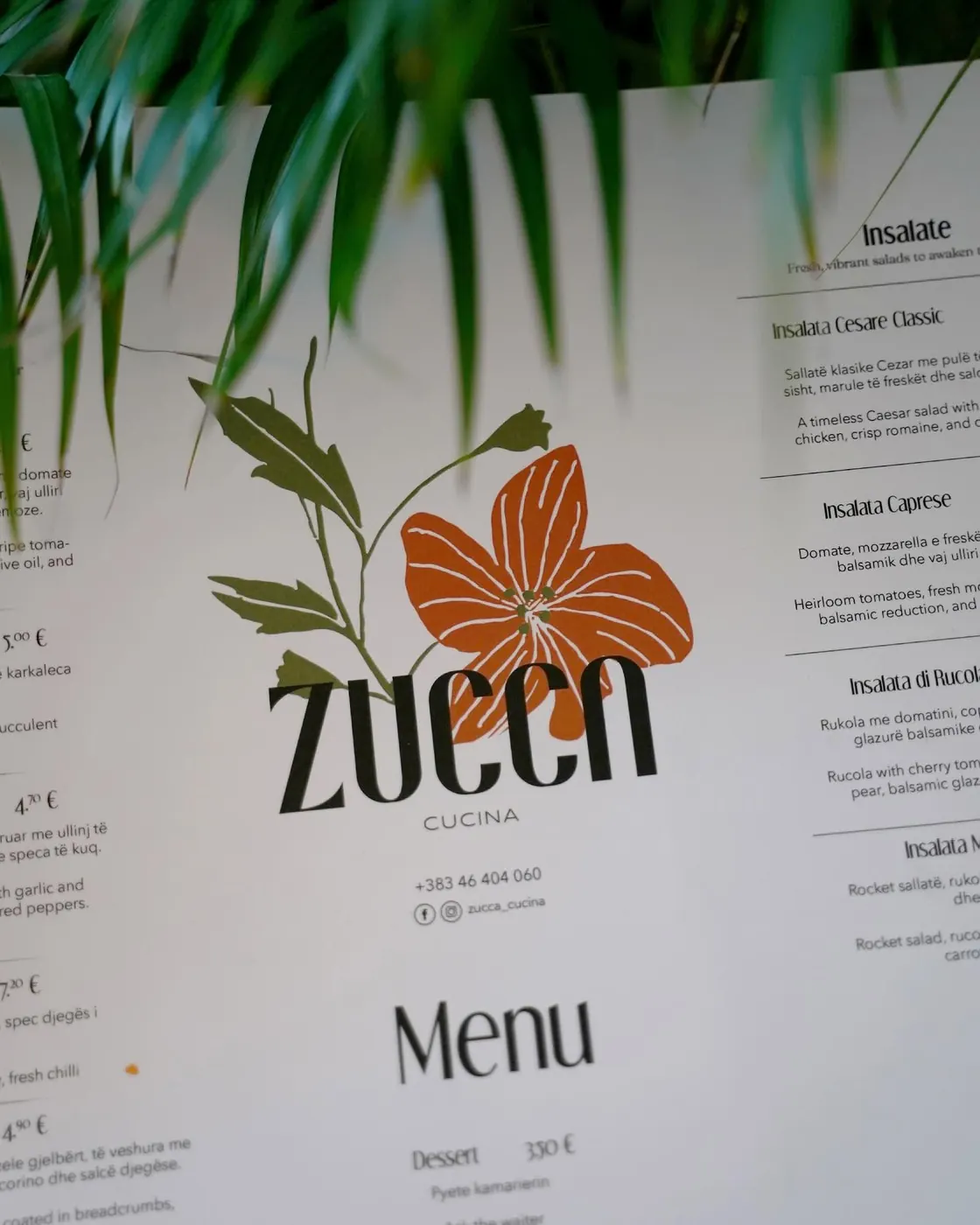 Zucca Cucina, image 1